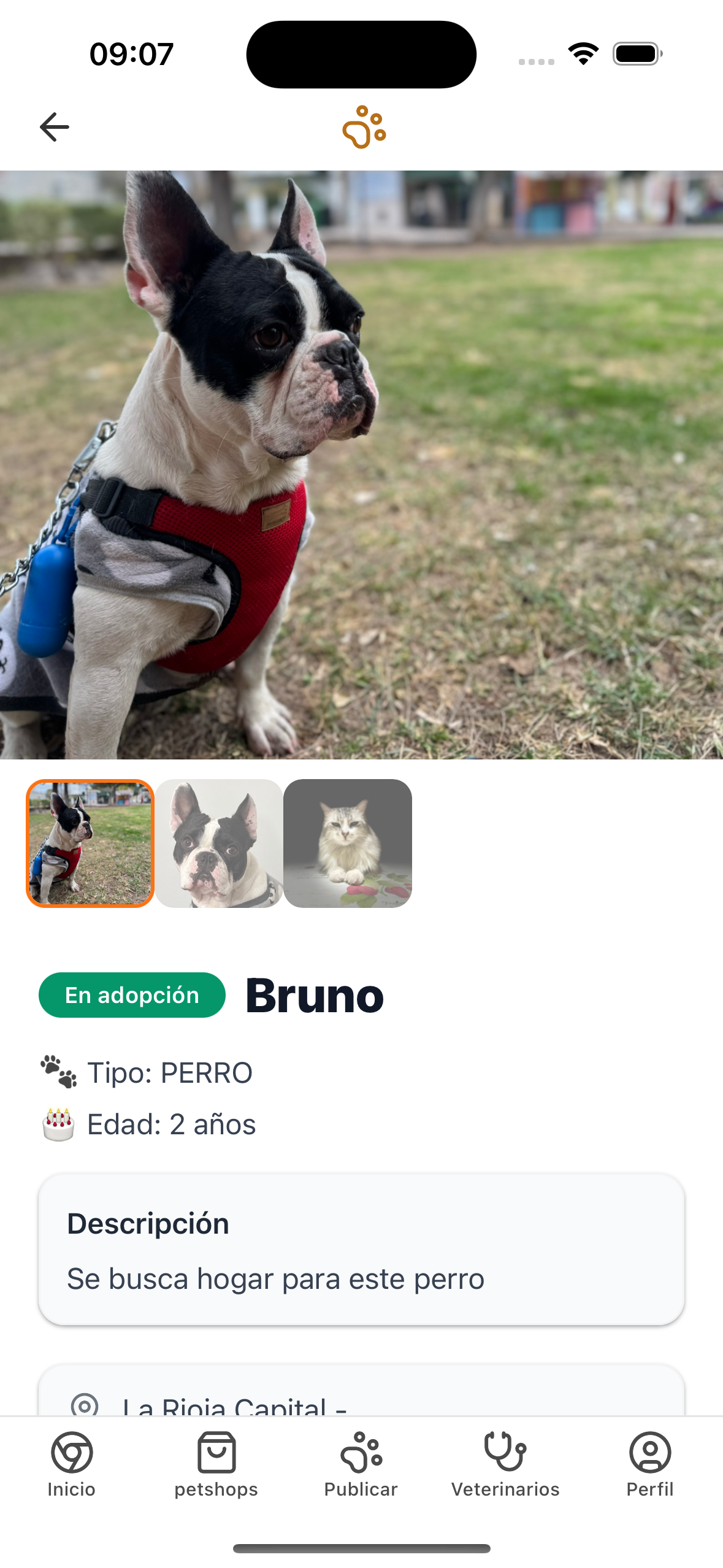 Detalles completos de cada mascota